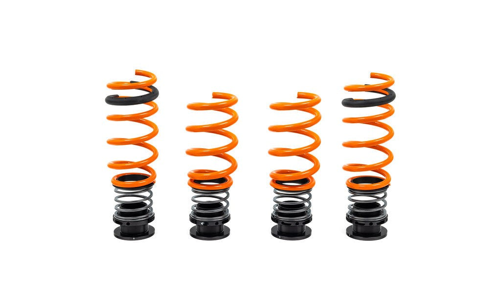 AST G90 / G99 M5 Adjustable Lowering Spring Kit