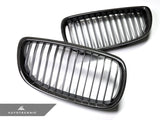 Autotecknic Carbon Fiber Front Grille Set - BMW E90 E92 M3